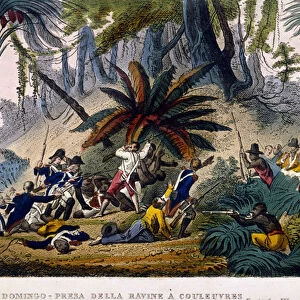 Taken de la Ravine at Reuvres on 23 / 02 / 1802. The Leclerc Expedition