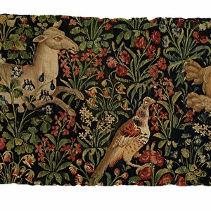Tapestry fragment of mille fleurs depicting Doe, Lion and Pheasant (wool)