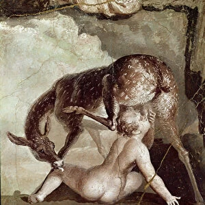Telephus suckled by the doe (fresco, 1st century AD)
