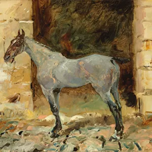 Tethered Horse; Cheval attache, c. 1881 (oil on canvas)