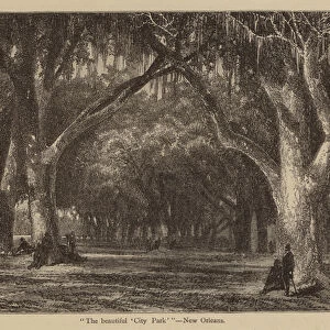 "The beautiful City Park ", New Orleans (engraving)