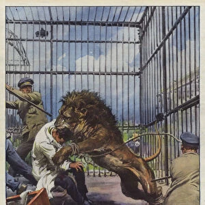 Tragedy at the Zoological Garden (colour litho)