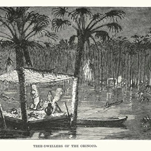 Tree-dwellers of the Orinoco (engraving)