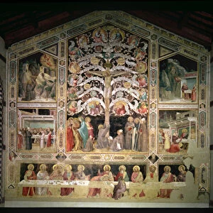 The Tree of Life and The Last Supper, 1360 (fresco) (for detail see 85021)