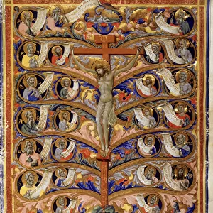 Tree of Life, or Tree of the Cross, illustration from the