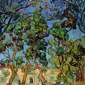 Trees in the Garden of St. Pauls Hospital, 1889 (oil on canvas)