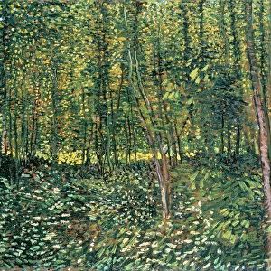 Trees and Undergrowth, 1887 (oil on canvas)