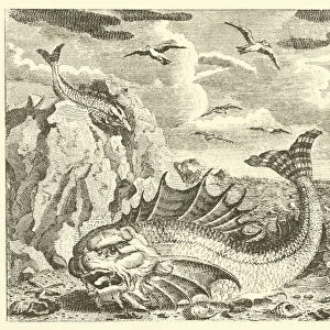 The tunny and the dolphin (engraving)