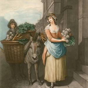 Turnips and carrots (coloured engraving)