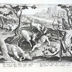 Unicorns on the banks of the Indus, hunted by permission of the King