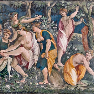 Venus and Adonis, 1517-18 (fresco) (detail of 2646090)