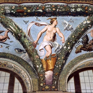 Venus on the cart, pulled by white doves, 1517-18 (fresco)