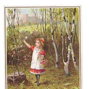 A Victorian Christmas card of a girl with a basket on her arm picking flowers in a forest