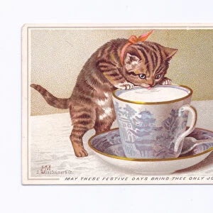 A Victorian greeting card of a kitten drinking from a teacup, c. 1880 (colour litho)