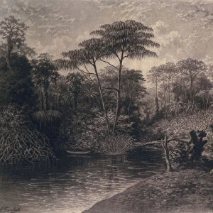 View of the Cameroon River, Ambes Bay, Africa, 1877 (charcoal on paper)