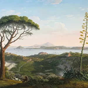 View of the Gulf of Pozzuoli from Solfatara, 1803 (oil on fabric)