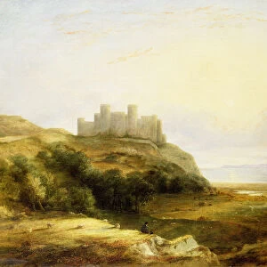 A View of Harlech Castle
