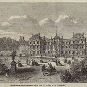 View of the Palace of the French Senate, from the Gardens of the Luxembourg (engraving)