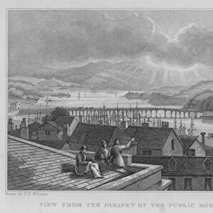 View from the Parapet of the Public Rooms, Teignmouth, Devon (engraving)