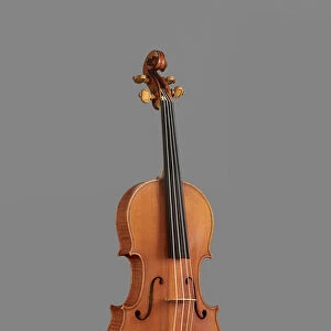 Violin "Le Messie"(Messiah), 1716 (wood)
