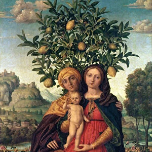The Virgin and Child with St Anne, 1510-18 (oil on canvas)