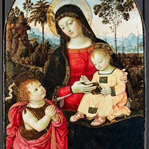 Virgin and Child with St. John the Baptist, 1490-95 (tempera with oil and glazes