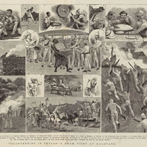 Volunteering in Ceylon, a Sham Fight at Kalutara (engraving)