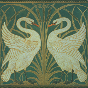 Wallpaper Design for panel of "Swan, Rush & Iris"