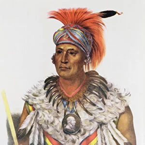 Wapella or the Prince Chief of the Foxes, 1837, illustration from The Indian