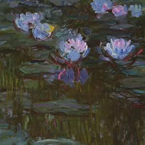 Waterlilies, 1914-17 (detail of 158601) (oil on canvas)