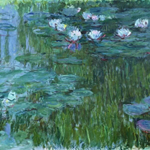 Waterlilies, 1914-17 (see detail 158601) (oil on canvas)
