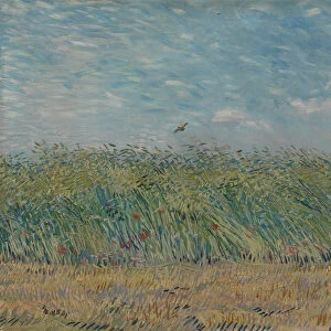 Wheatfield with Partridge, 1887 (oil on canvas)