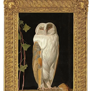 The White Owl, 1856 (oil on board)