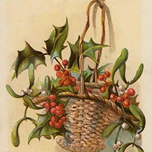 Wild Berries of the Month, December (colour litho)