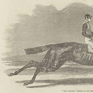 "Wild Dayrell, "Winner of the Derby, 1855 (engraving)