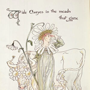 Wild Oxeyes in Meads that Gaze, illustration to Floras Feast