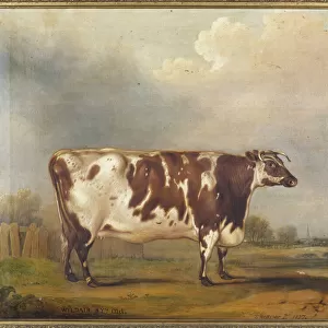 Wildair, an eight-year-old heifer in a river landscape, 1827 (oil on canvas)