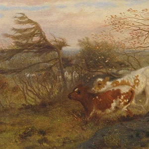 The Wind on the Wold, 1862