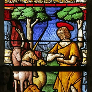 Window depicting Saint John the Baptist in the desert (stained glass)