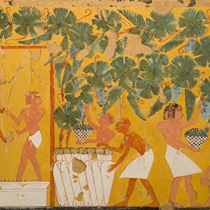 Winemaking, Tomb of Ipuy (tempera on paper)