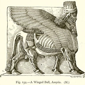 A Winged Bull, Assyria (engraving)