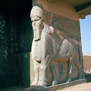 Schools Collection: Assyrian