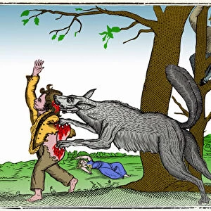 The wolf circa 1820 (engraving)