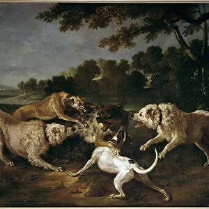The Wolf Hunt Painting by Francois Desportes (1661-1743), 18th century. Gien, Musee de la Chasse