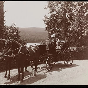 A woman and a dog in a horsedrawn carriage, 1899 (silver gelatin print)