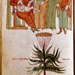 Four women caring for a child, trafficking in childcare. (miniature, early 13th century)