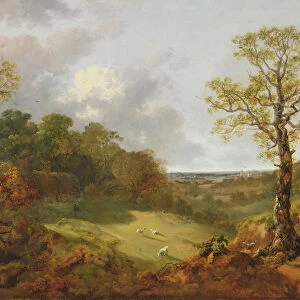 Wooded Landscape with a Cottage, Sheep and a Reclining Shepherd, c