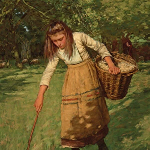 The Wool Gatherer, (oil on canvas)