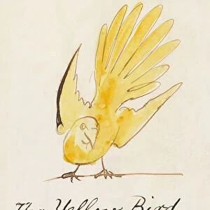 The Yellow Bird, from Sixteen Drawings of Comic Birds (pen & ink w / c on paper)