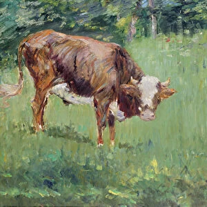 Young Bull in a Meadow, 1881 (oil on canvas)